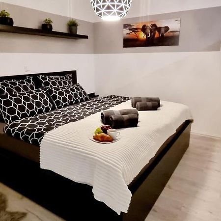 Apartament New Modern Selfcheckin Publicfreeparking Highspeed Wifi Kingsizebed Baden-Baden Zewnętrze zdjęcie